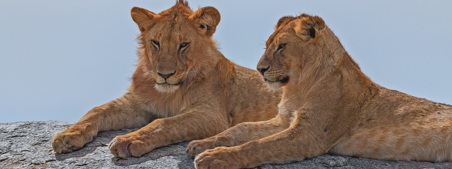 Tanzania National Park