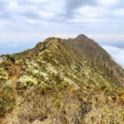 Tanzania mount hanang