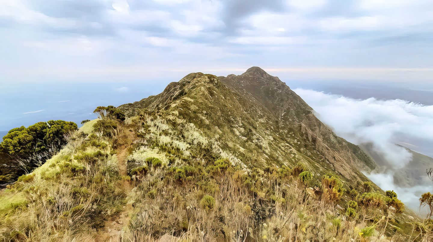 Tanzania mount hanang