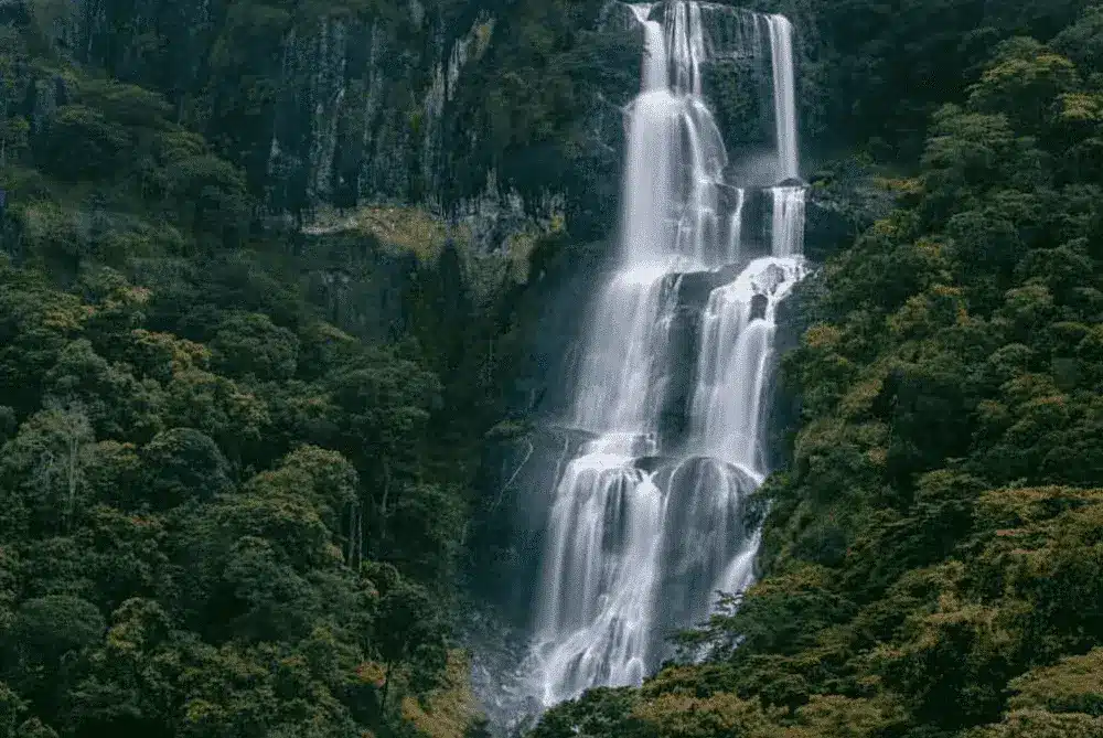 Tanzania Udzungwa Mountain