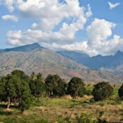Tanzania Uluguru Mountains
