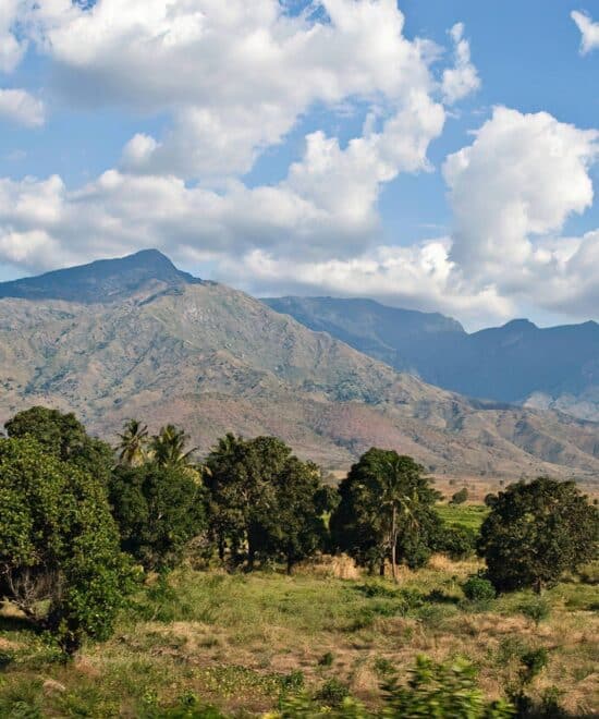 Uluguru Mountains – Tanzania’s Green Paradise Near the City