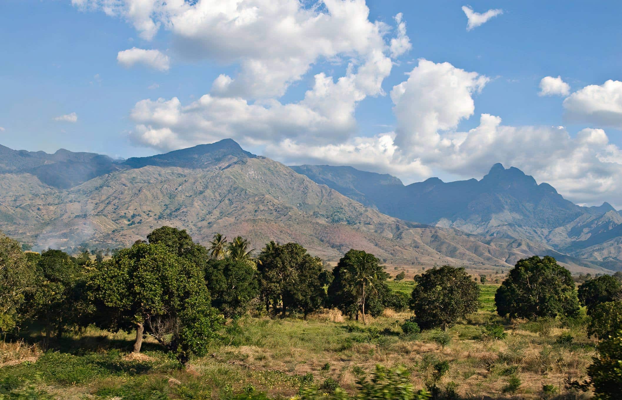 Tanzania Uluguru Mountains